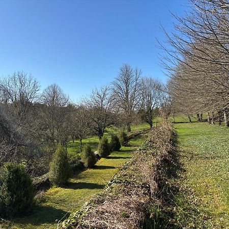 Chateau La Hussardiere Dampierre-sur-Salon Luaran gambar