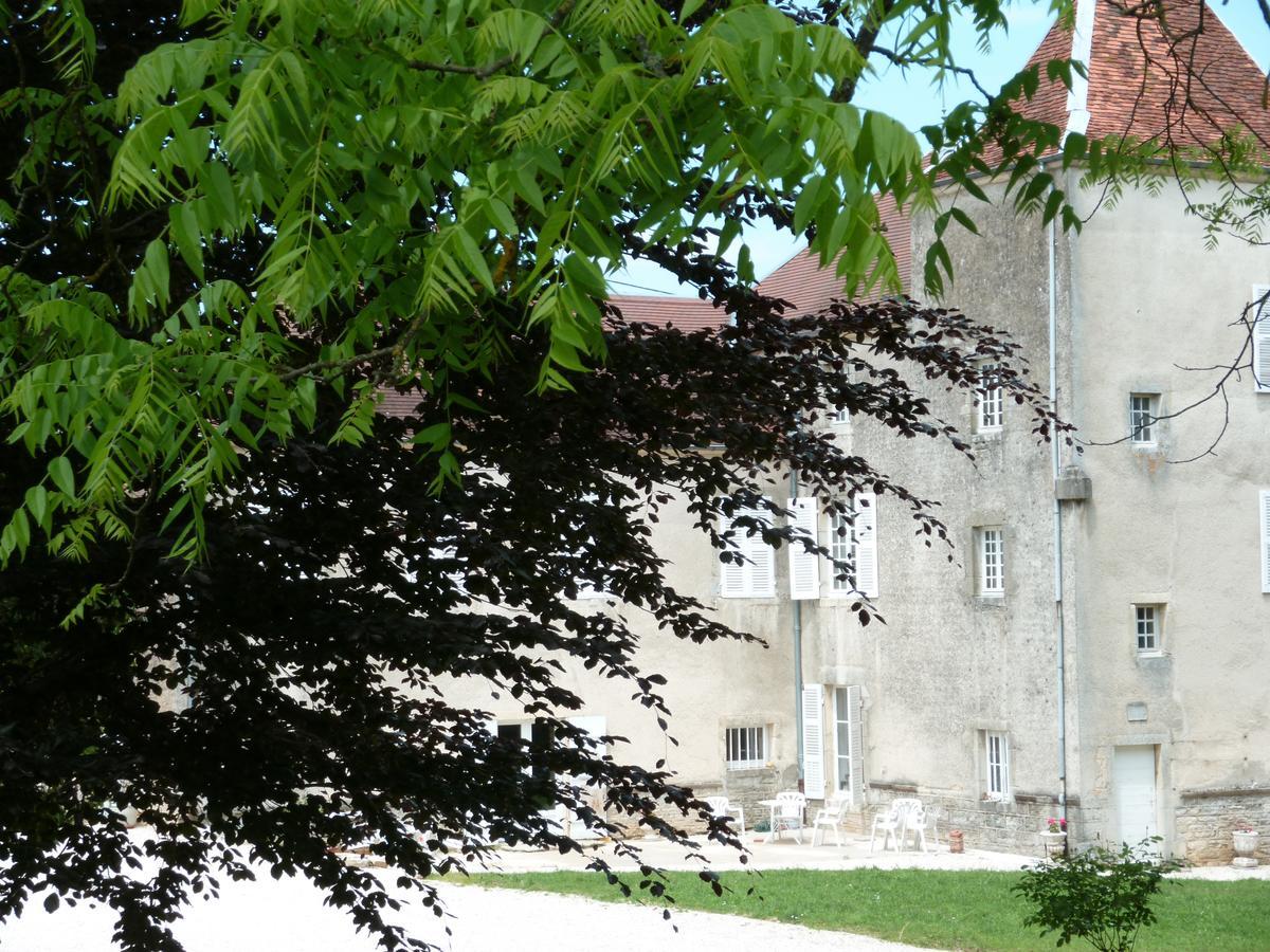 Chateau La Hussardiere Dampierre-sur-Salon Luaran gambar