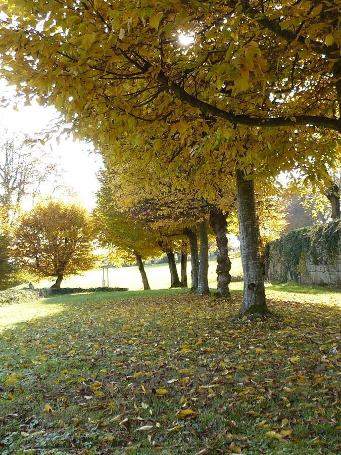 Chateau La Hussardiere Dampierre-sur-Salon Luaran gambar